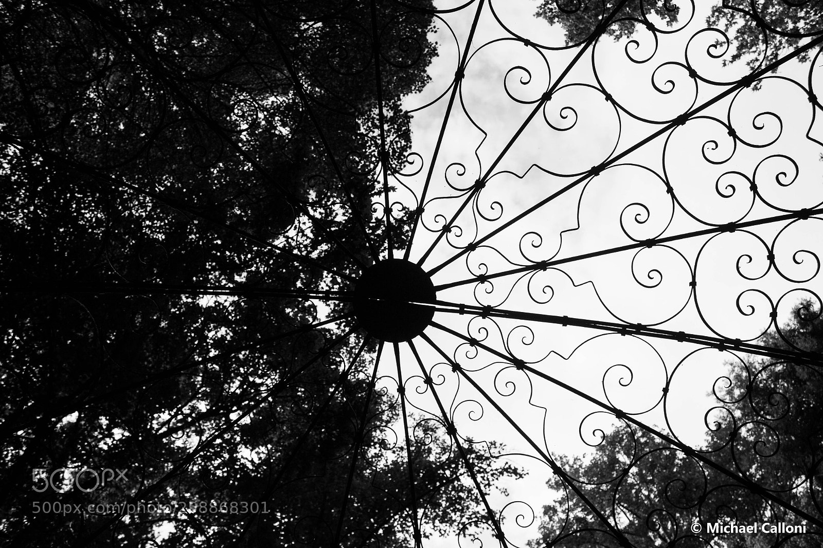 Canon EOS 700D (EOS Rebel T5i / EOS Kiss X7i) sample photo. Swirl photography