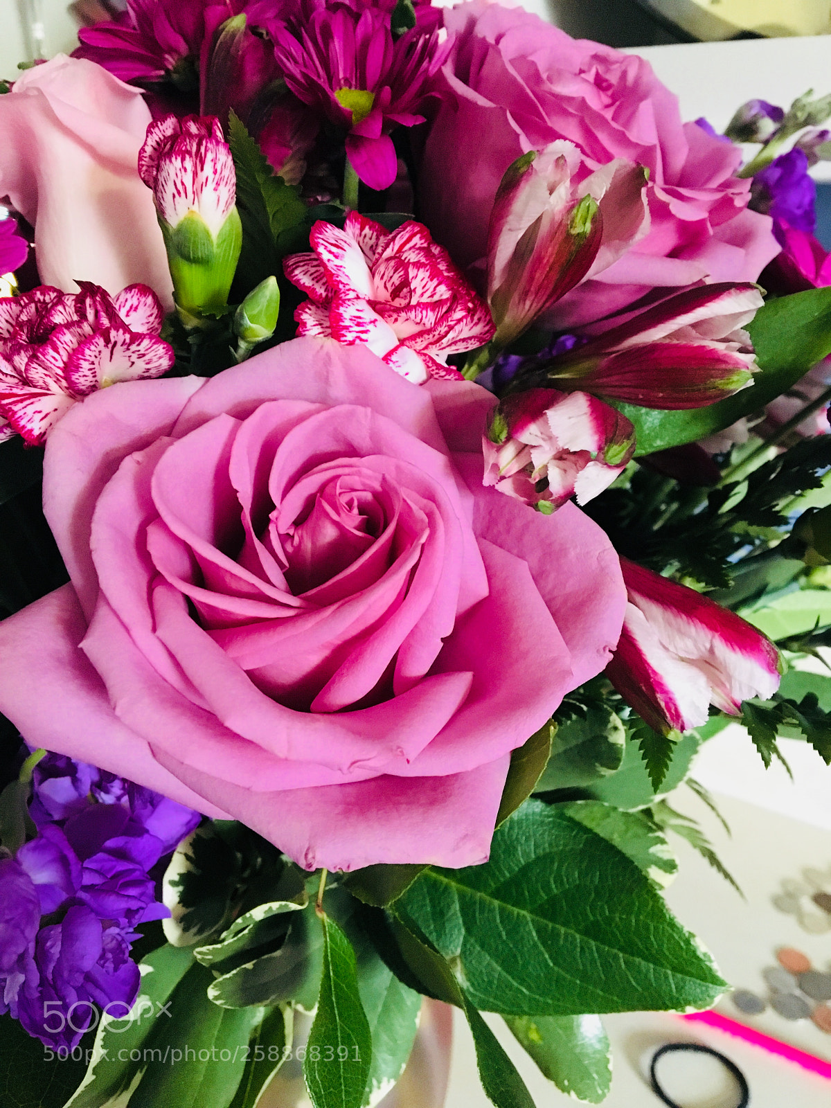 Apple iPhone 6s sample photo. Img photography