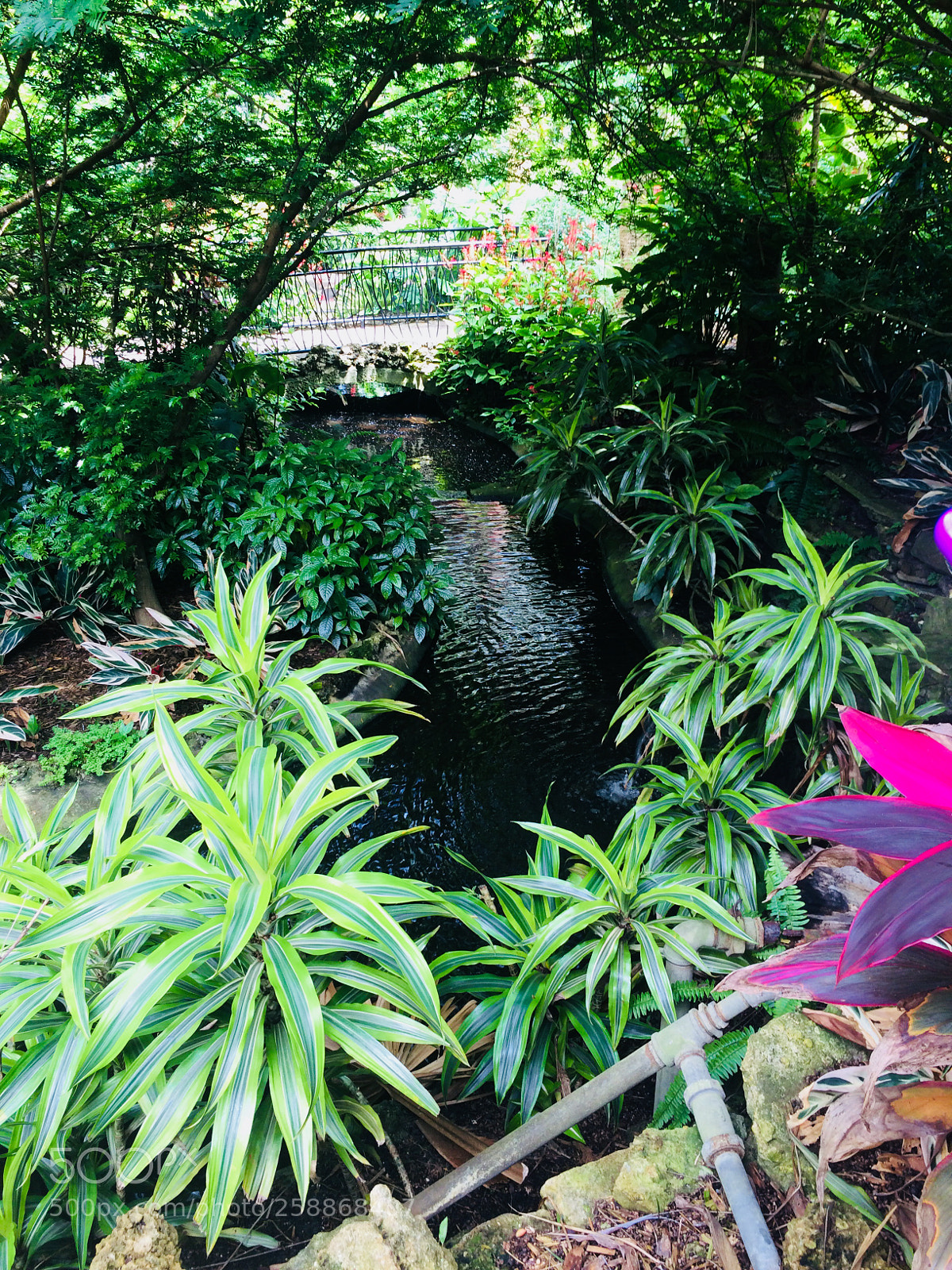 Apple iPhone 5s sample photo. Img photography