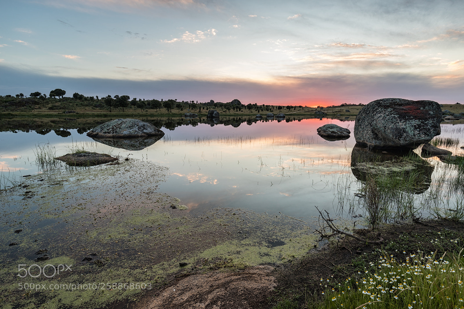 Canon EOS 6D Mark II sample photo. Barruecos  200518-2681 photography