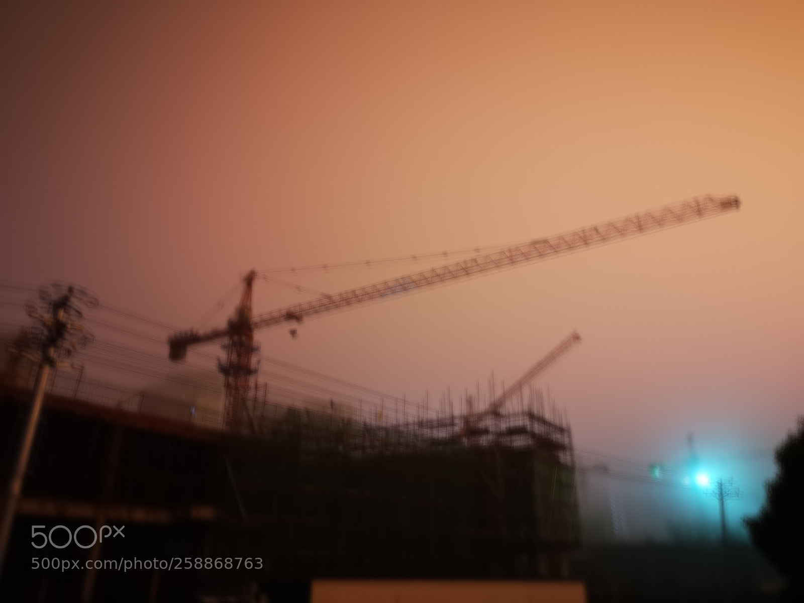 HUAWEI P20 sample photo. Untitled photography