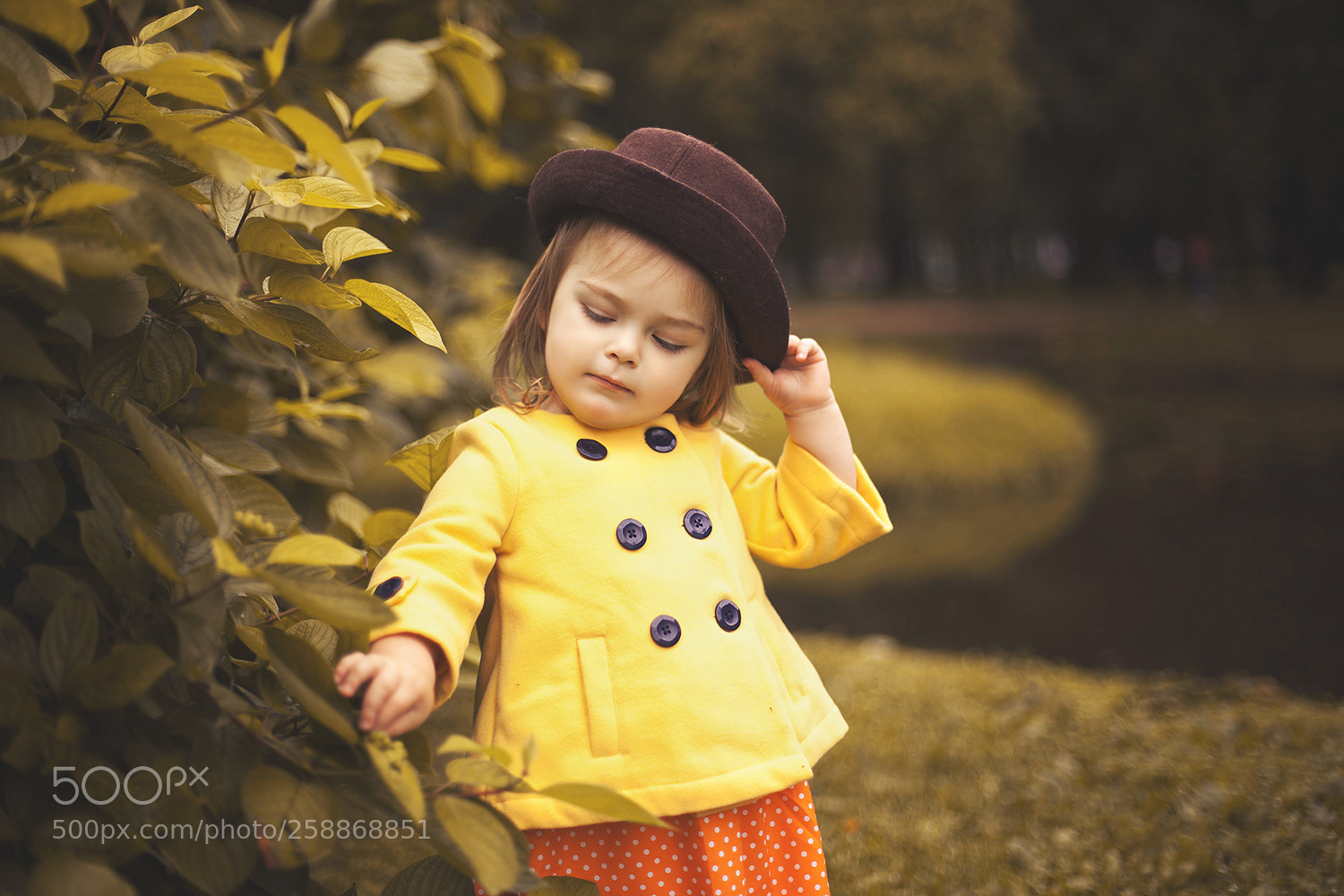 Canon EOS 5D Mark II sample photo. Web photography