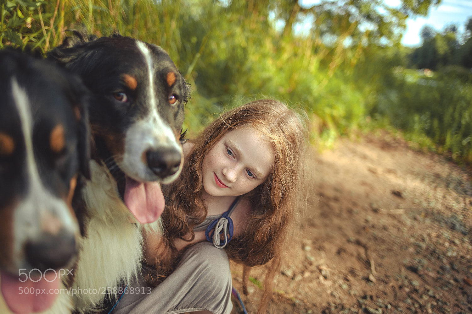 Canon EOS 5D Mark II sample photo. Web photography