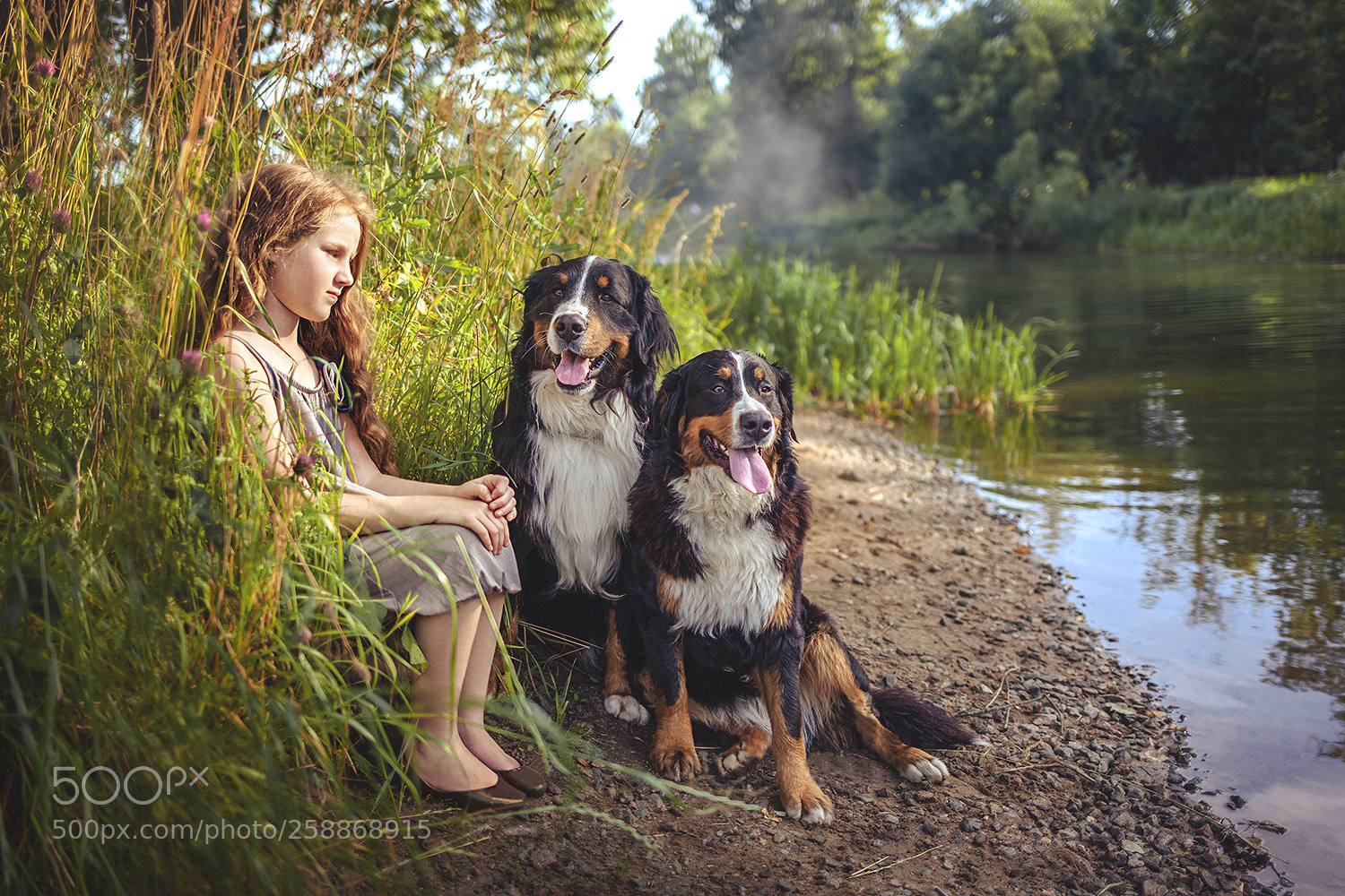 Canon EOS 5D Mark II sample photo. Web photography