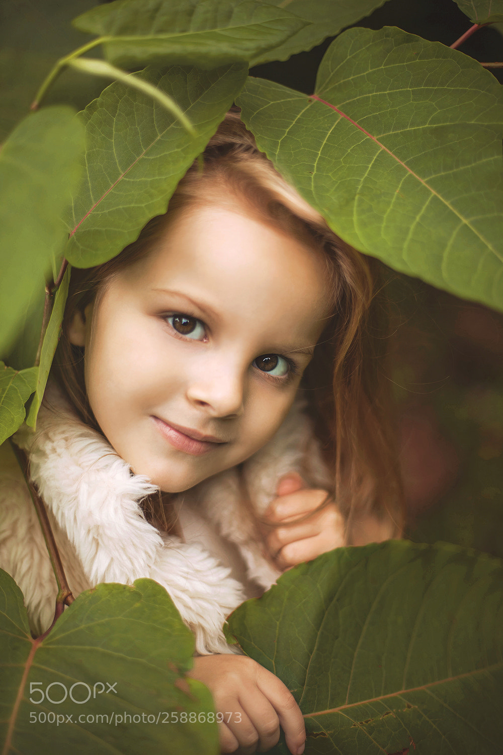 Canon EOS 5D Mark II sample photo. Web photography