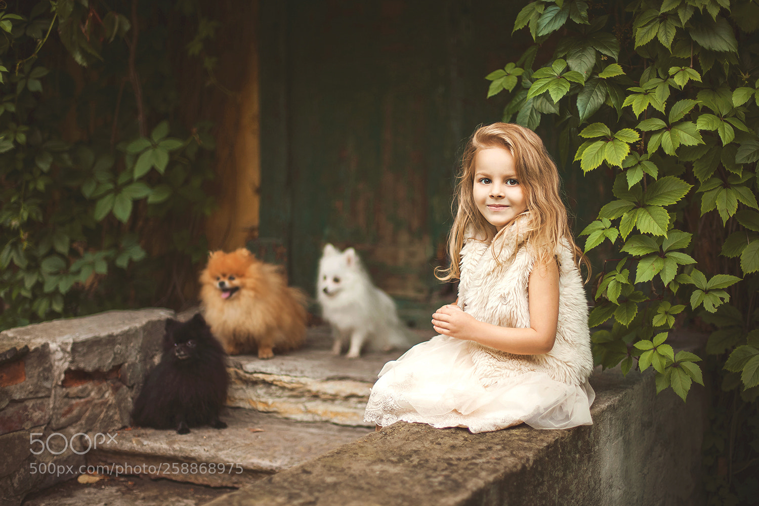 Canon EOS 5D Mark II sample photo. Web photography