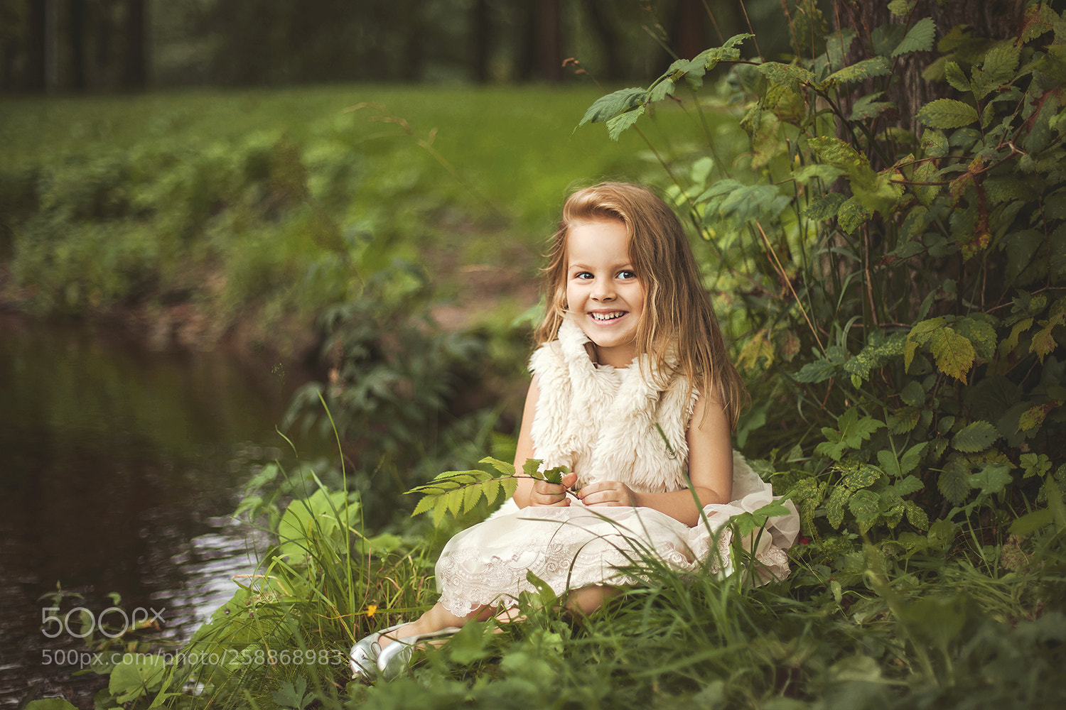 Canon EOS 5D Mark II sample photo. Web photography