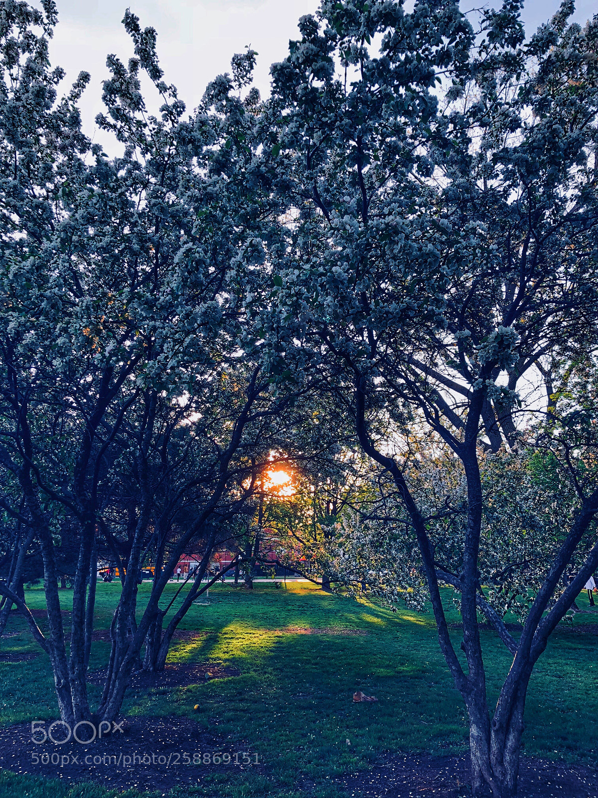 Apple iPhone X sample photo. Afternoon in the city photography
