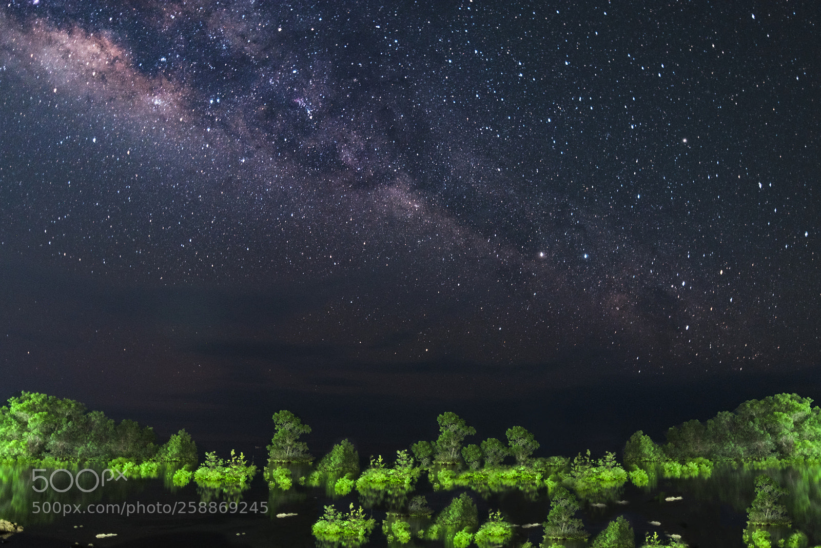 Nikon D750 sample photo. The groovey milky way photography