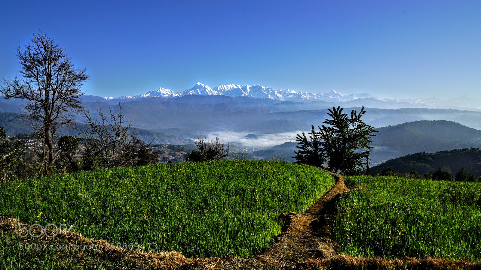 Sony a7R II sample photo. Fields in mountains! photography