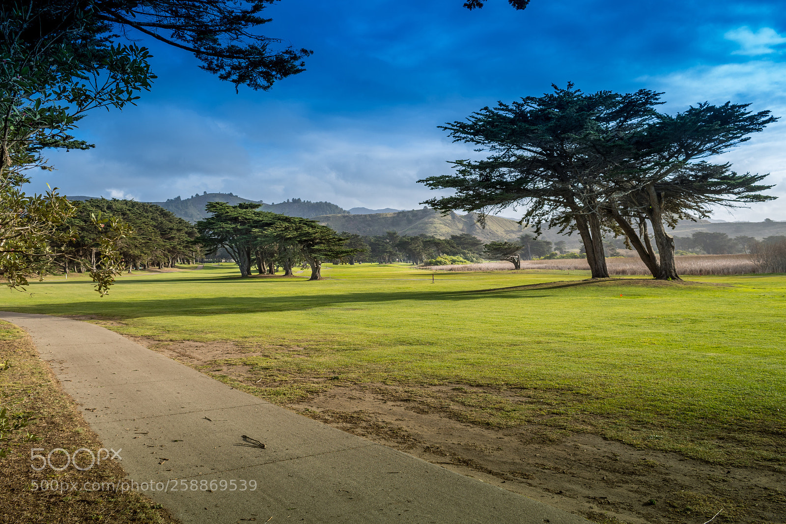 Nikon D7500 sample photo. Golf in pacifica  photography
