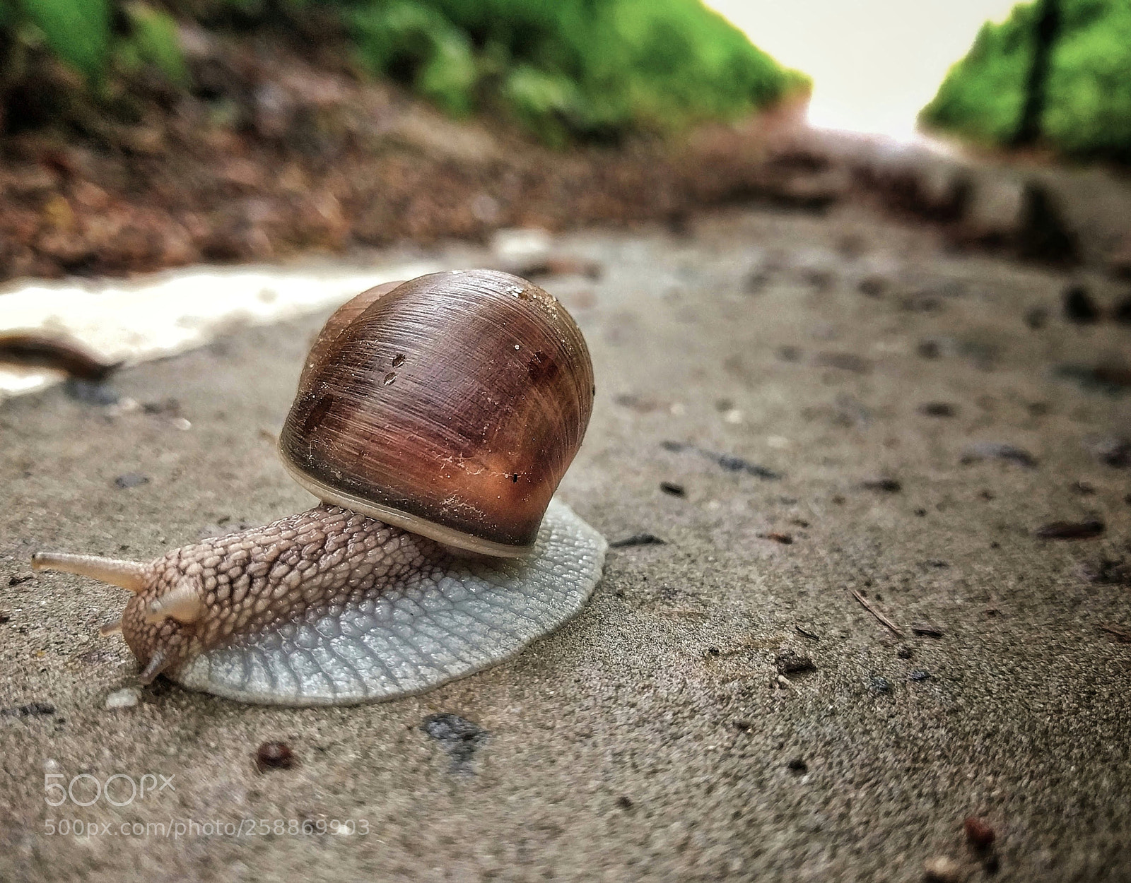 LG Nexus 5X sample photo. Img_20180508_075551-01-01.jpeg photography