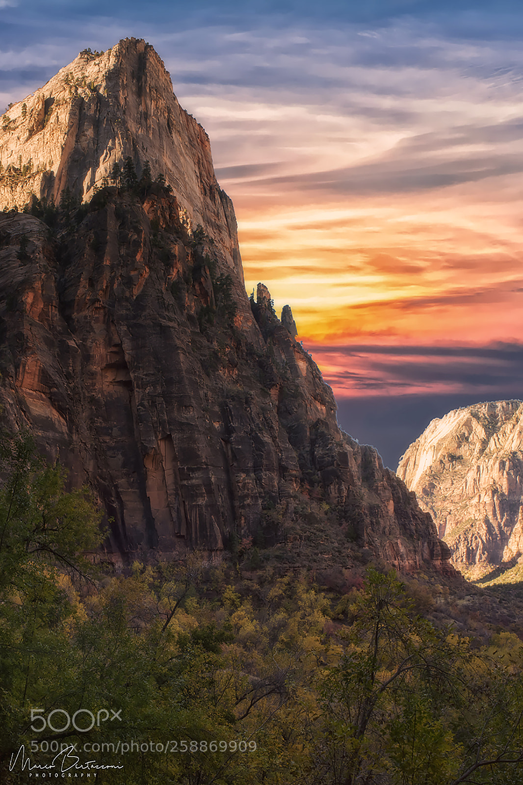 Nikon D810 sample photo. Sunrise in zion np photography