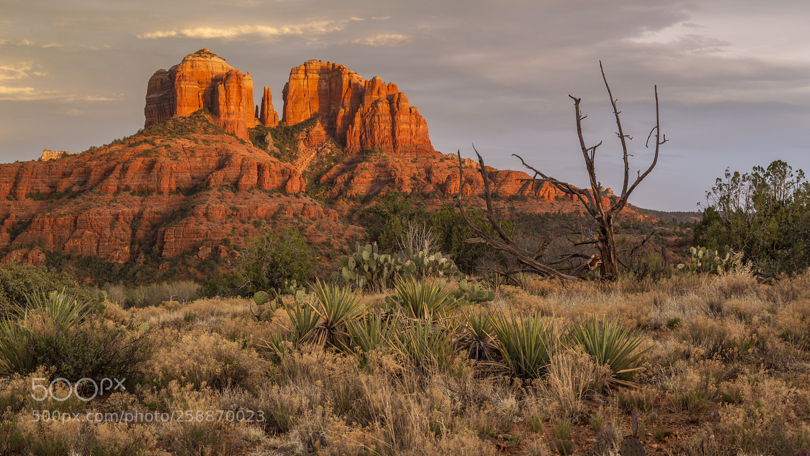 Canon EOS 6D sample photo. Sedona photography