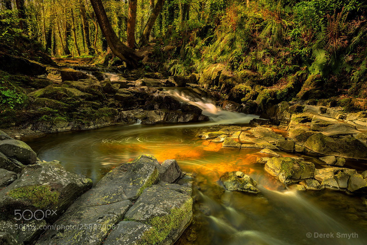 Canon EOS 5D Mark IV sample photo. Drumleck river in spring photography