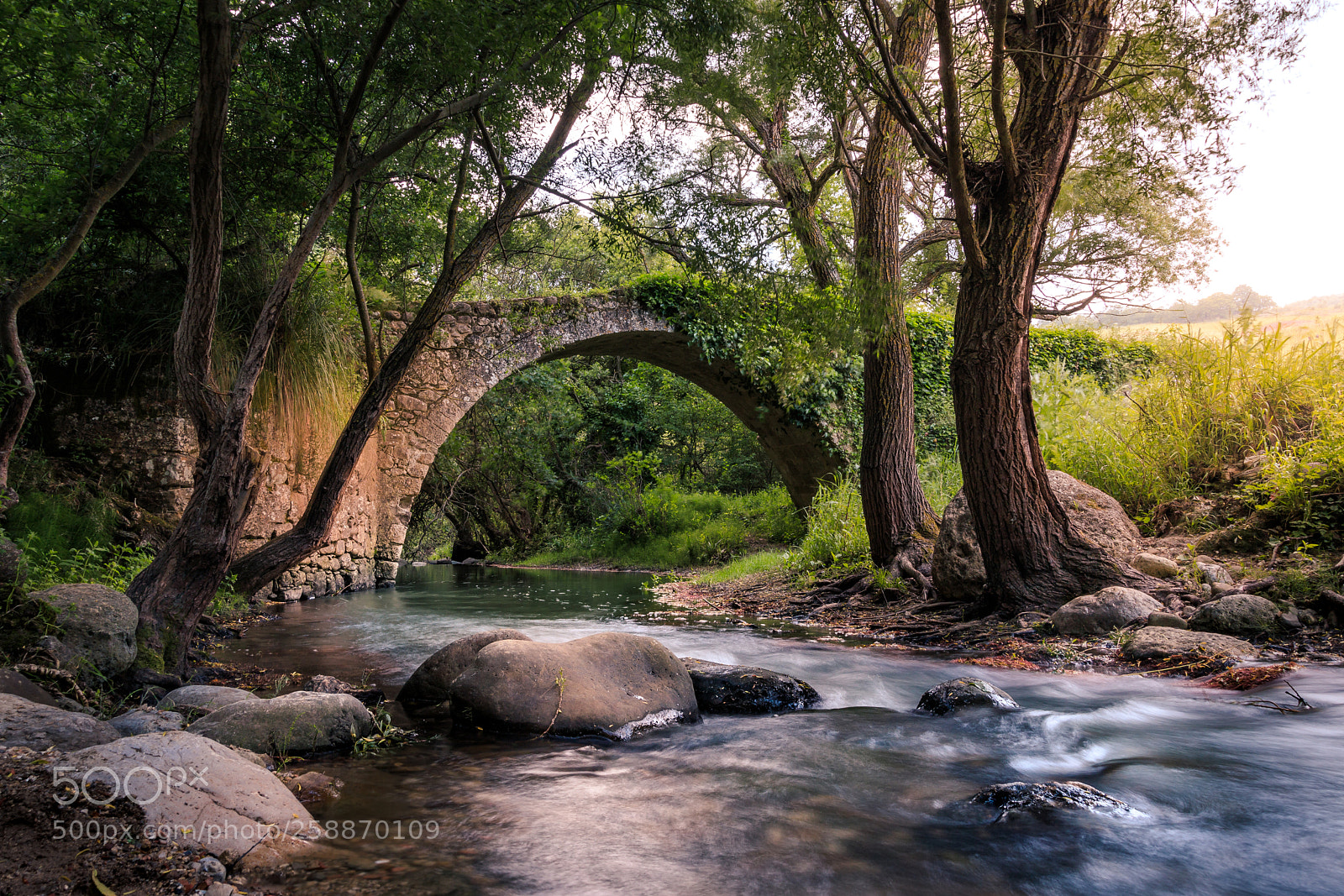 Canon EOS 6D Mark II sample photo. Medieval bridge photography