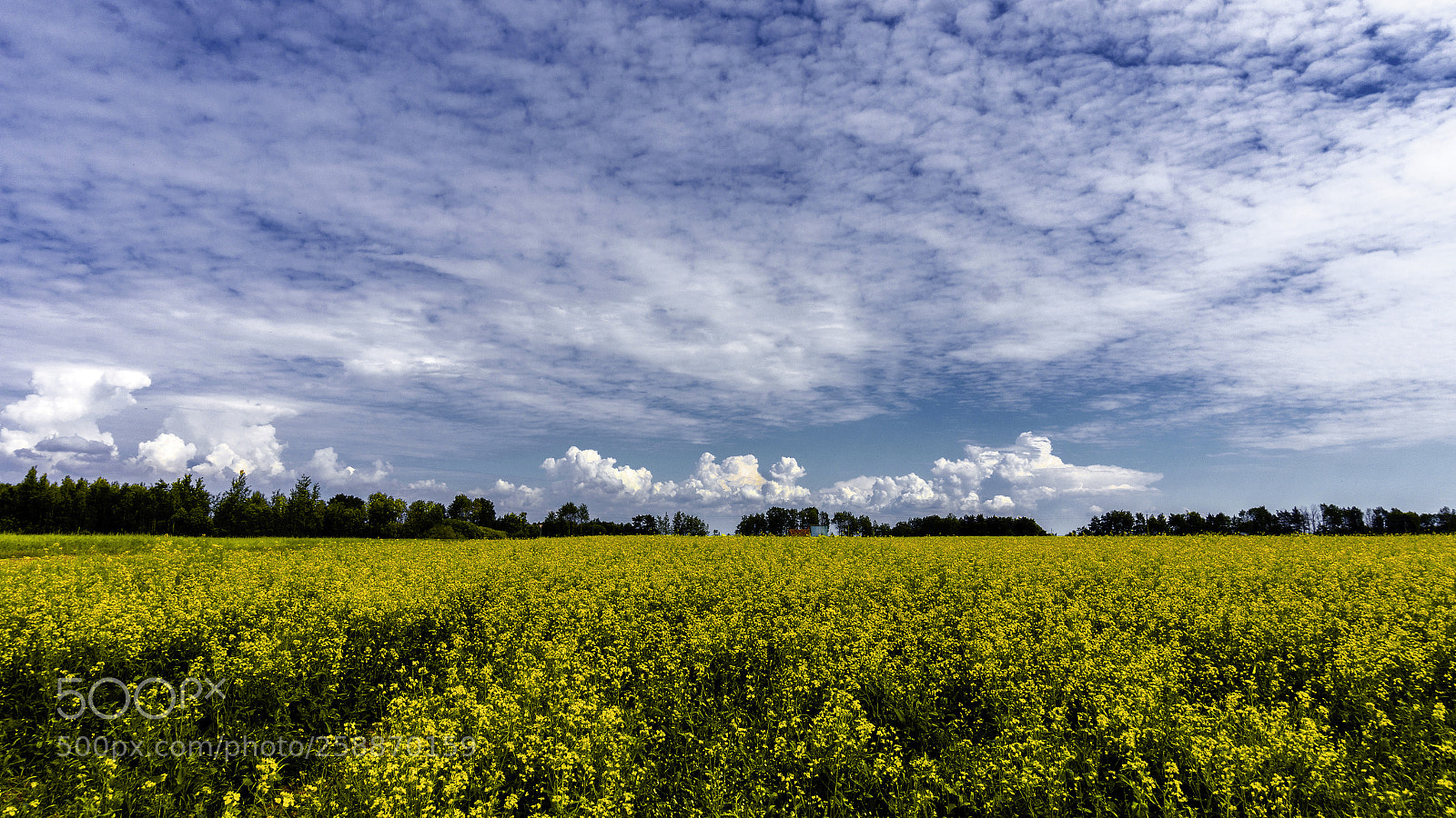 Sony Alpha a5000 (ILCE 5000) sample photo. Fields and clouds photography