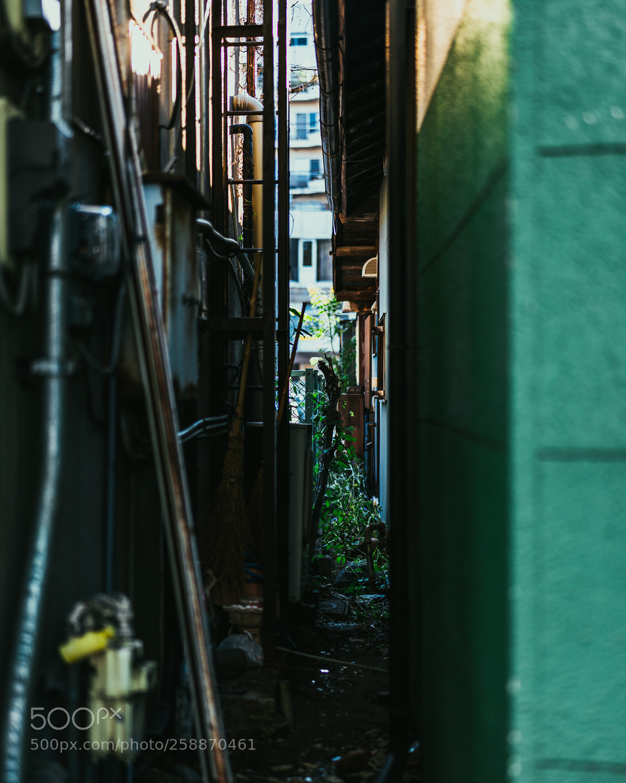 Sony a7R III sample photo. The scenery thrown away photography