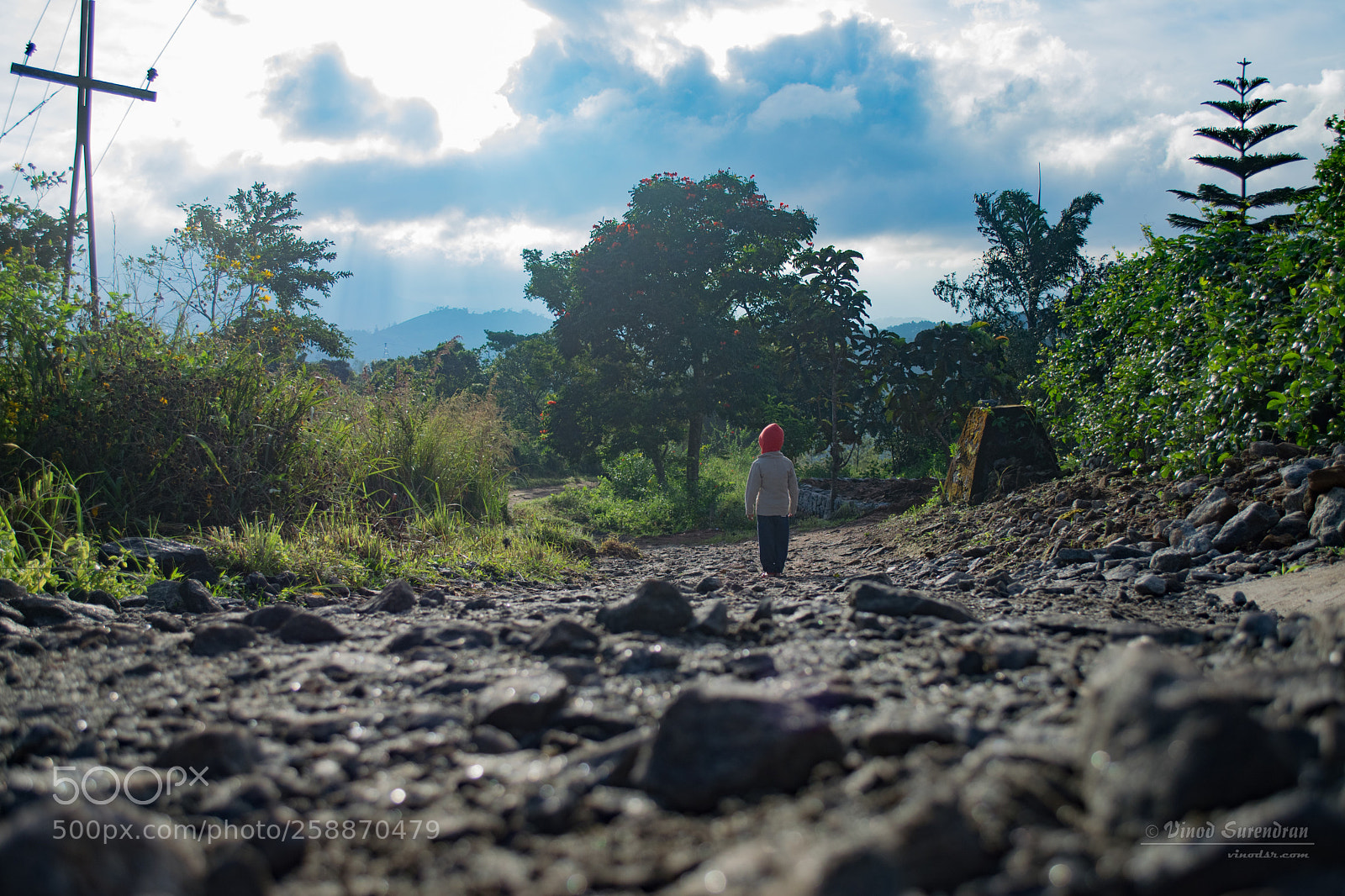 Nikon D5300 sample photo. Journey alone photography