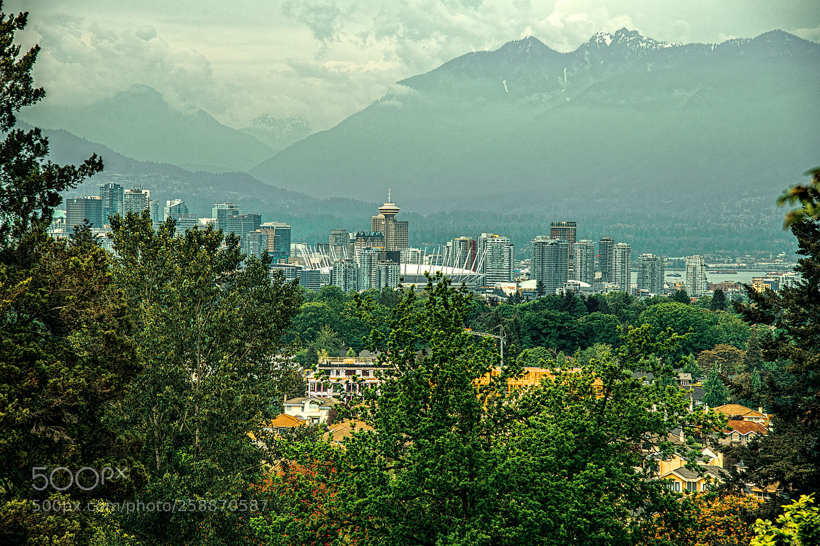 Nikon D850 sample photo. From queen elizabeth park photography