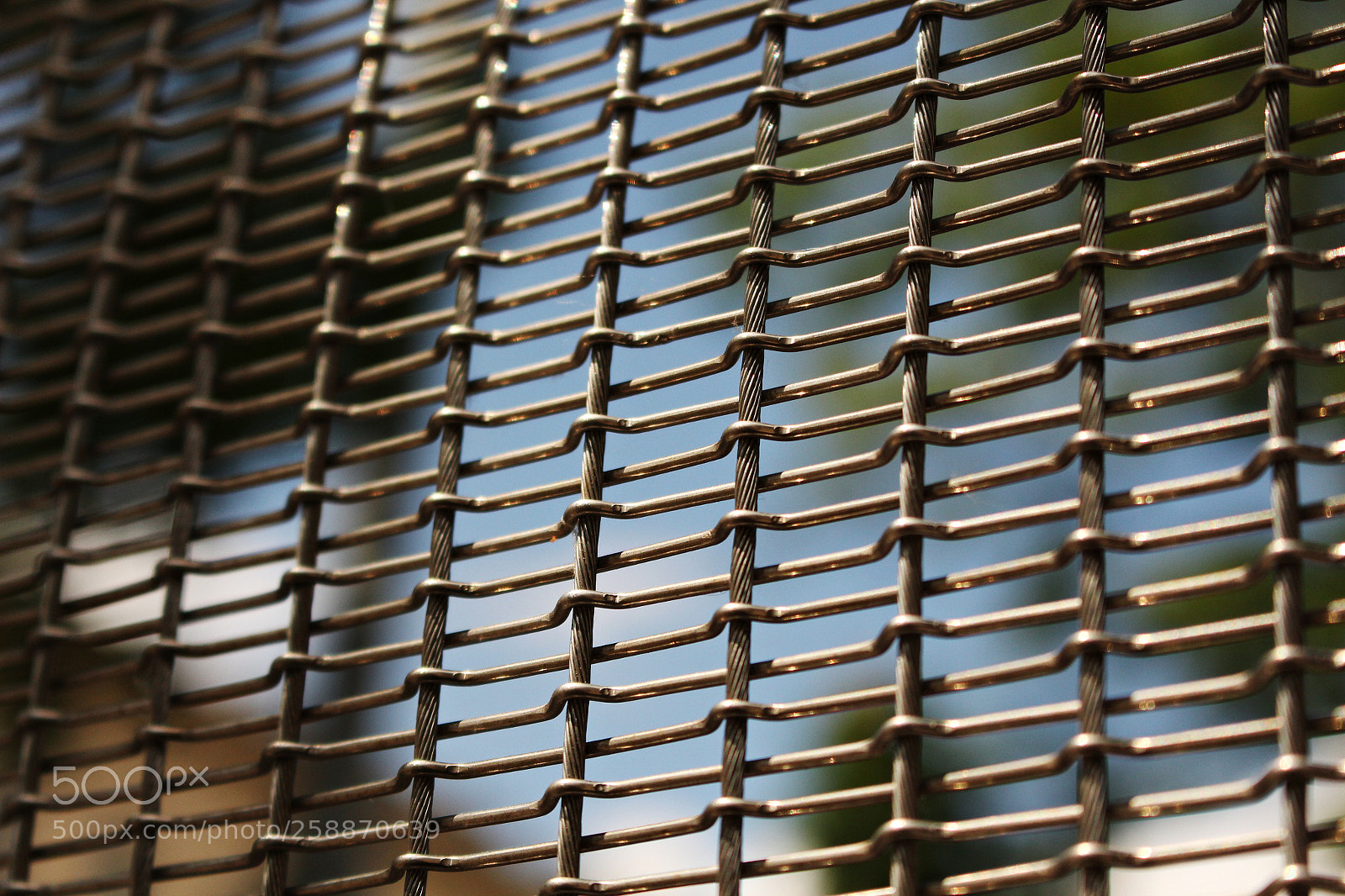 Canon EOS 700D (EOS Rebel T5i / EOS Kiss X7i) sample photo. Glisten photography