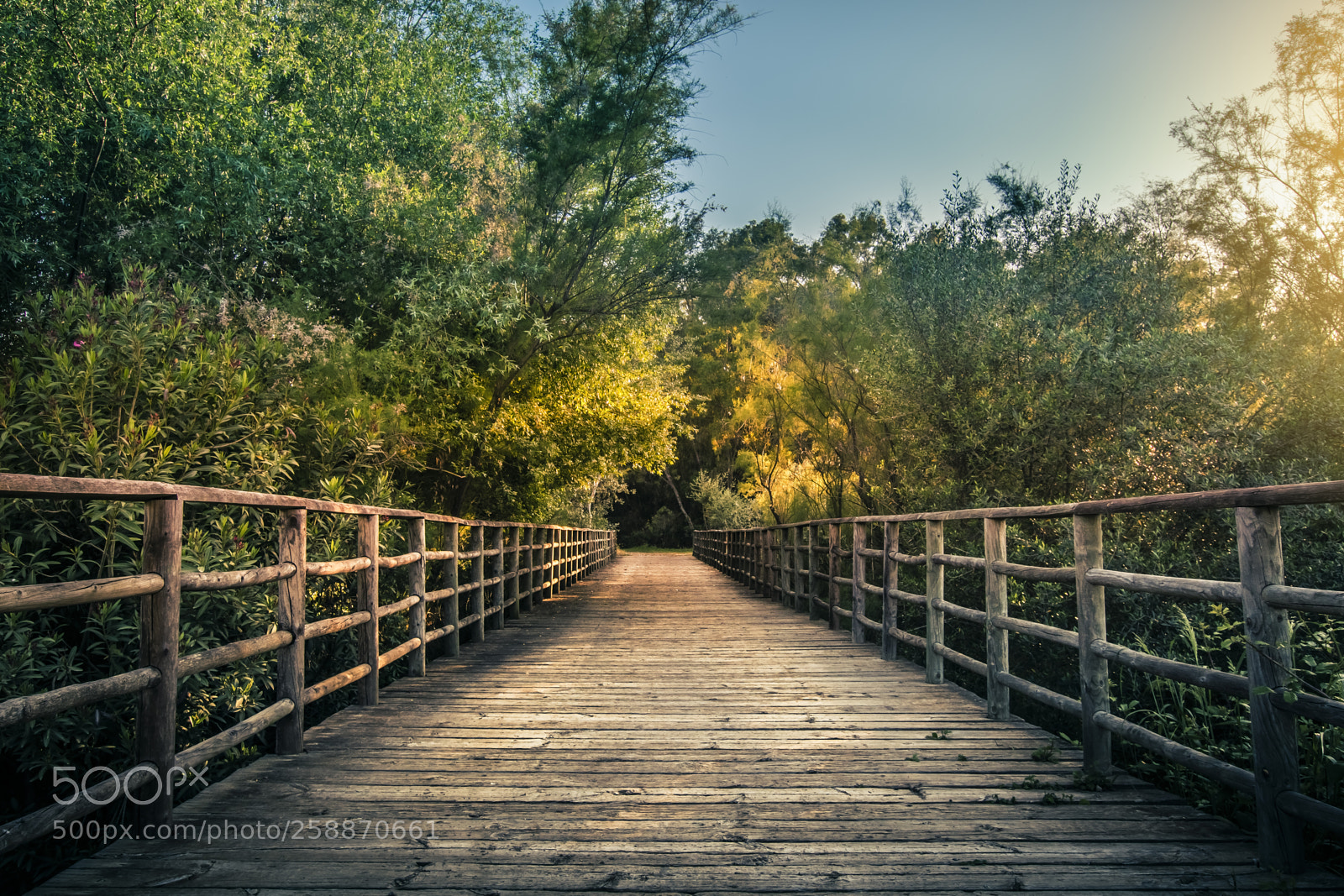 Nikon D5500 sample photo. Guadiamar bridge sunset photography
