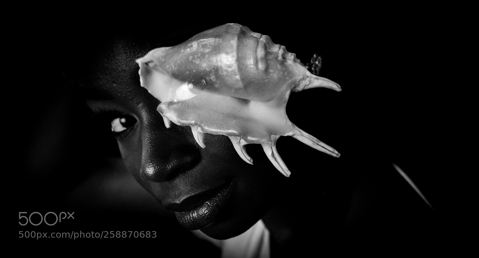 Canon EOS 6D Mark II sample photo. See-shell ii photography