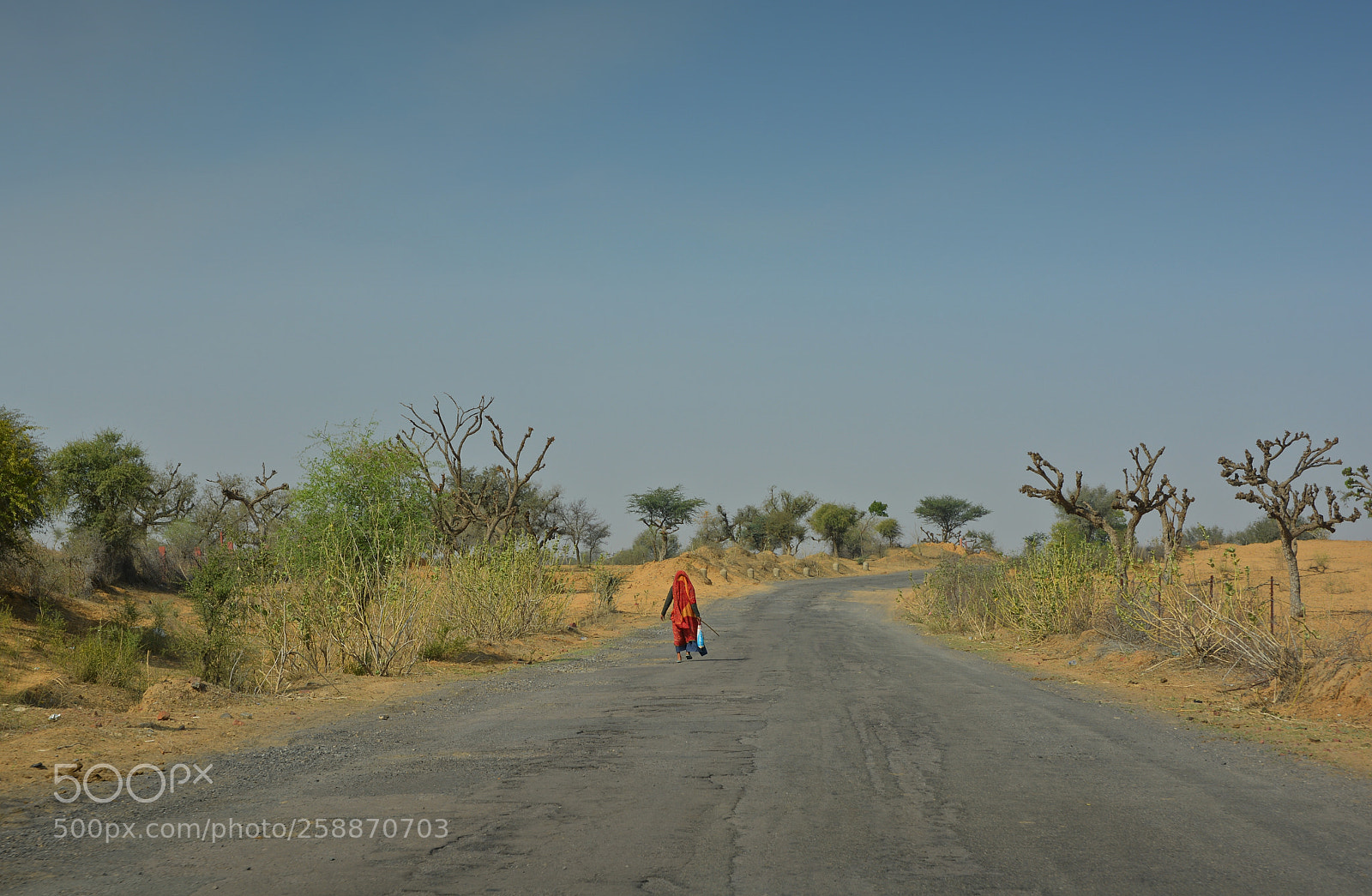Nikon D5200 sample photo. Walking home photography
