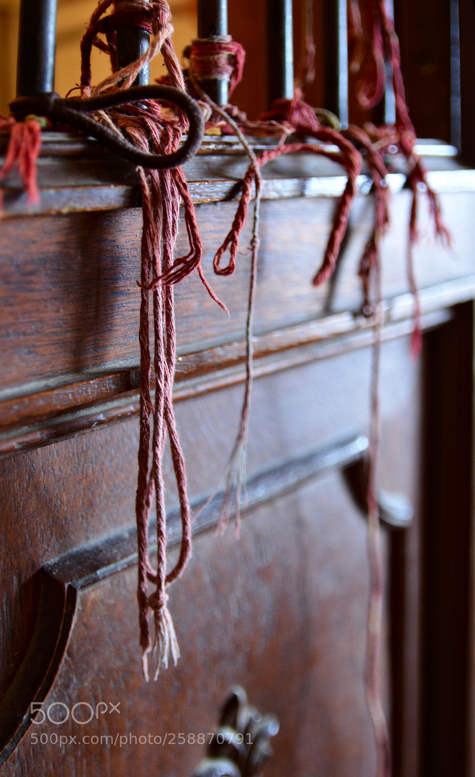Nikon D5200 sample photo. Charms photography