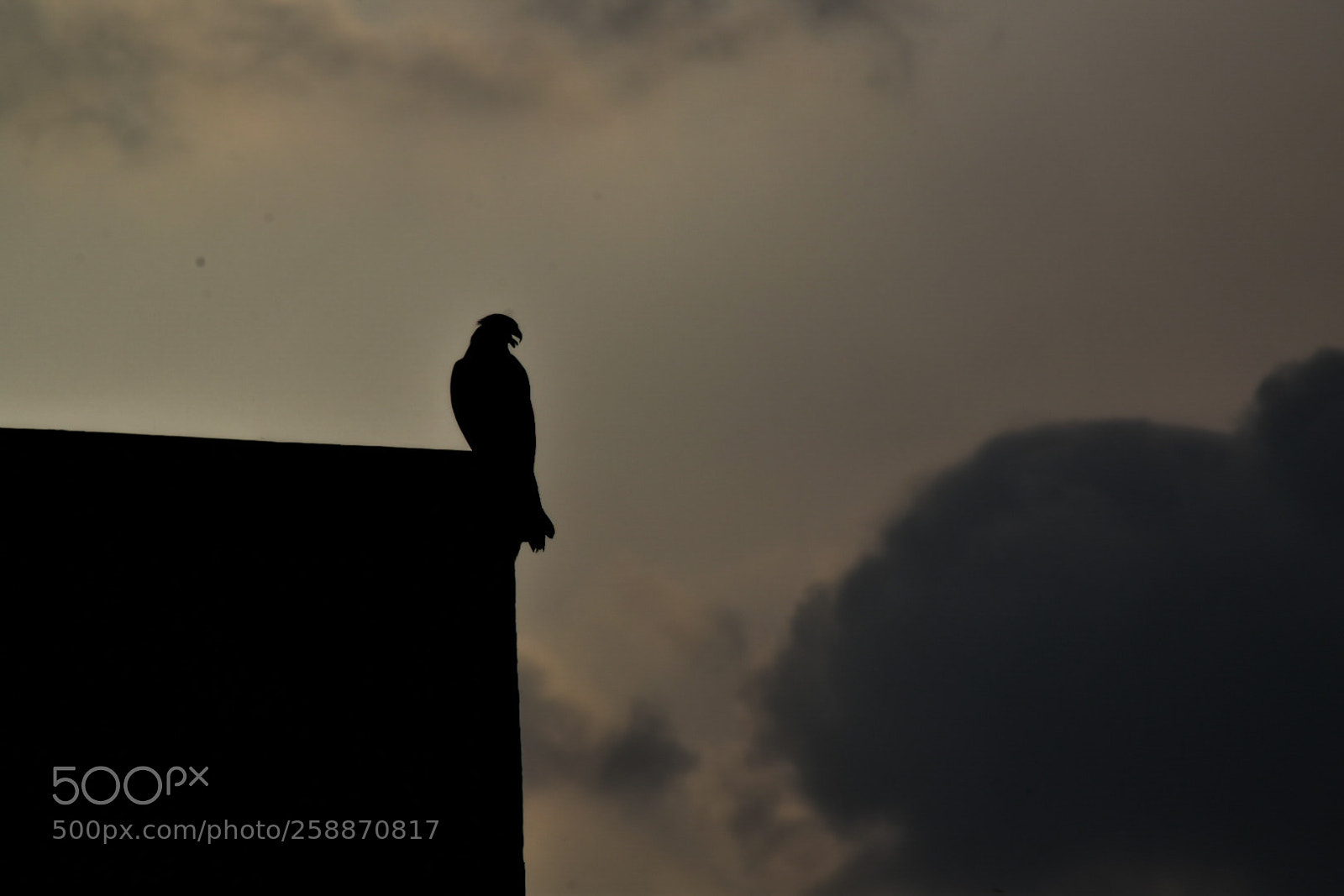 Nikon D5300 sample photo. Untitled photography