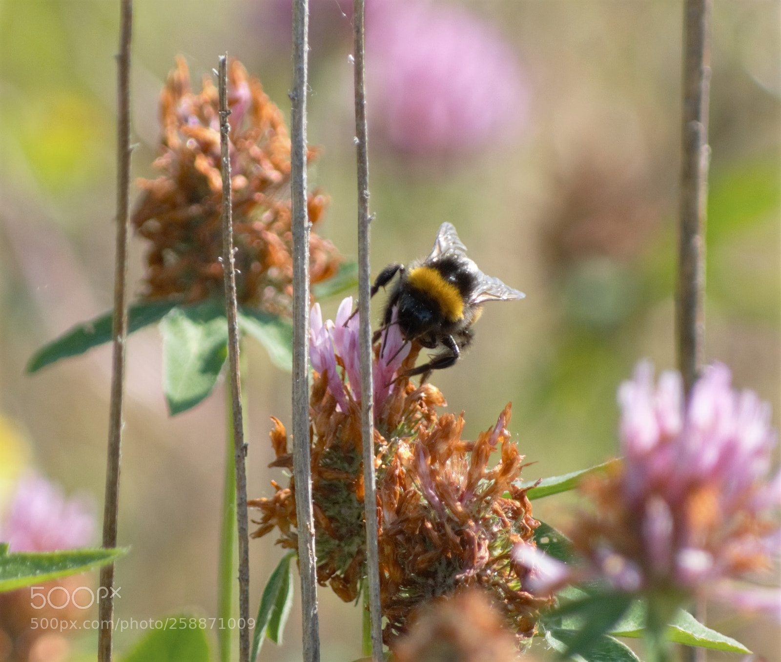Nikon D3200 sample photo. Untitled photography