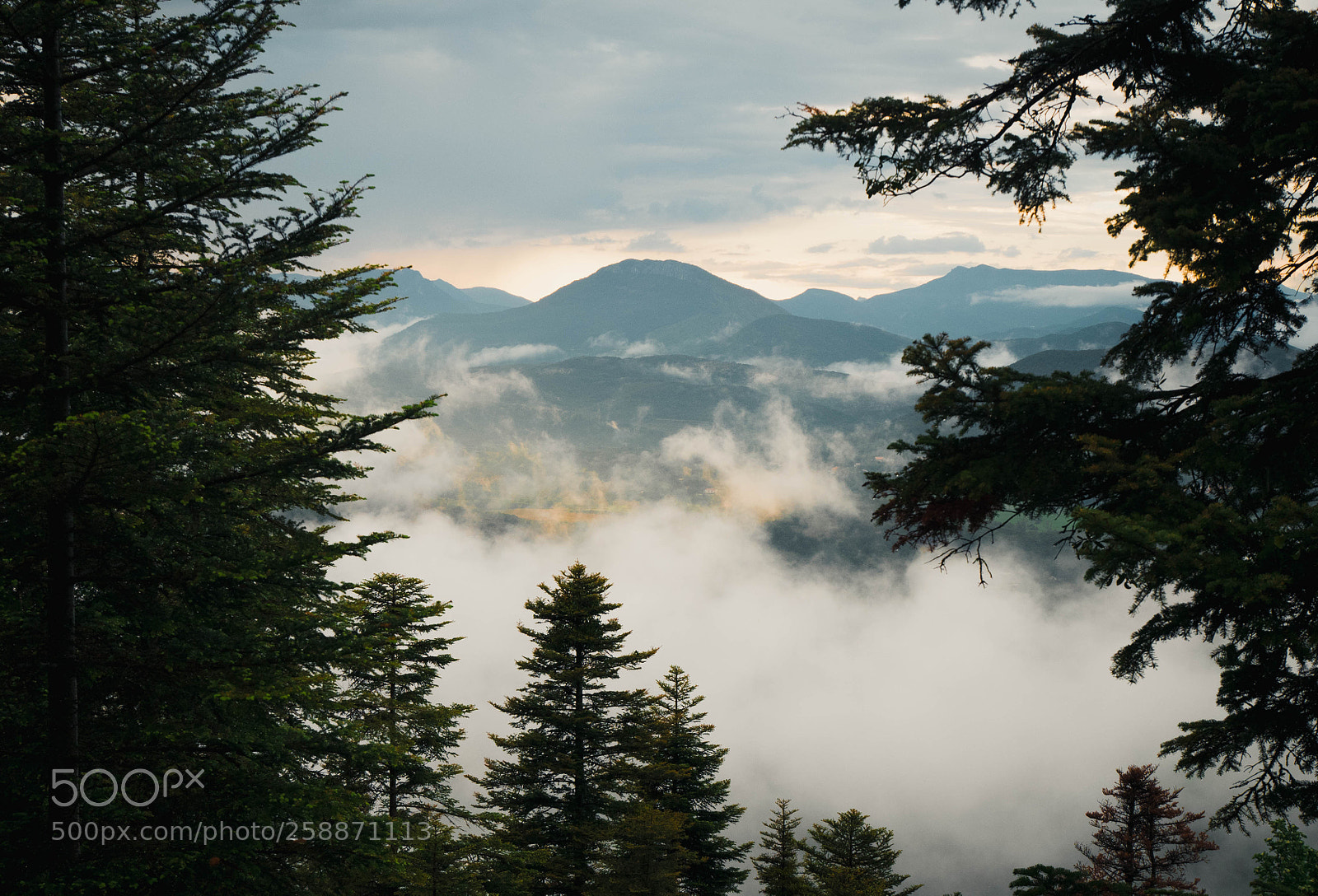 Panasonic Lumix DMC-GX85 (Lumix DMC-GX80 / Lumix DMC-GX7 Mark II) sample photo. Misty mountains photography