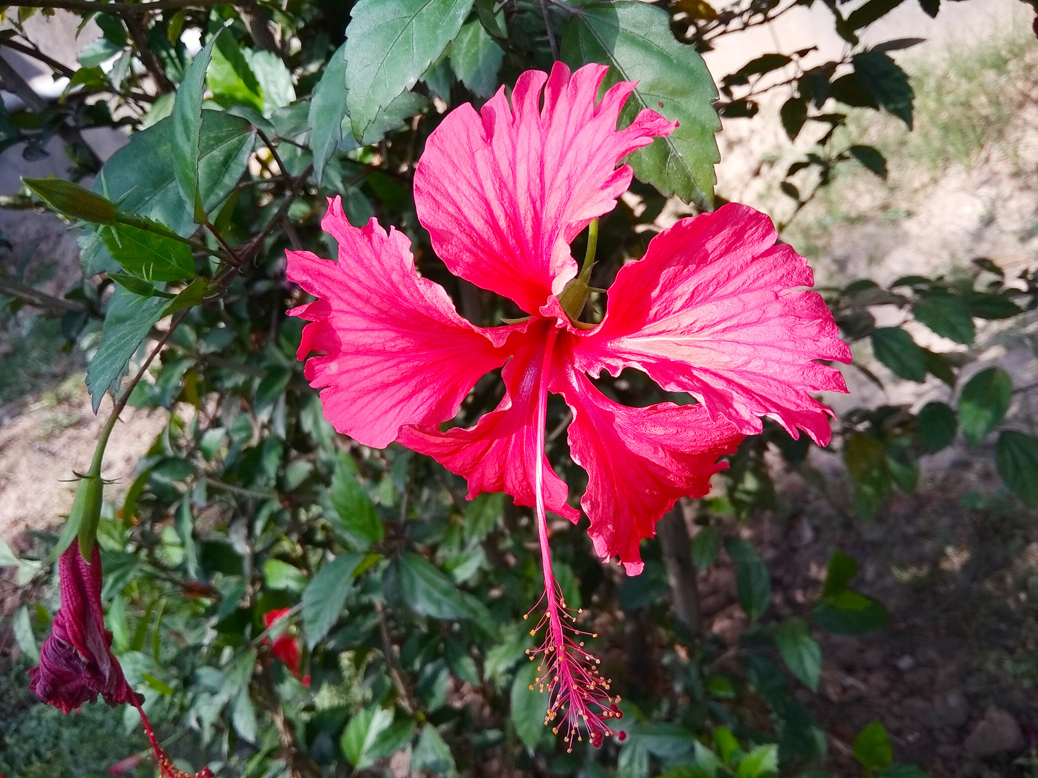Xiaomi Redmi Note 5A sample photo