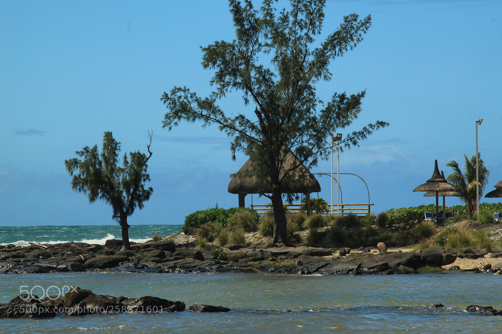 Canon EOS 650D (EOS Rebel T4i / EOS Kiss X6i) sample photo. Untitled photography