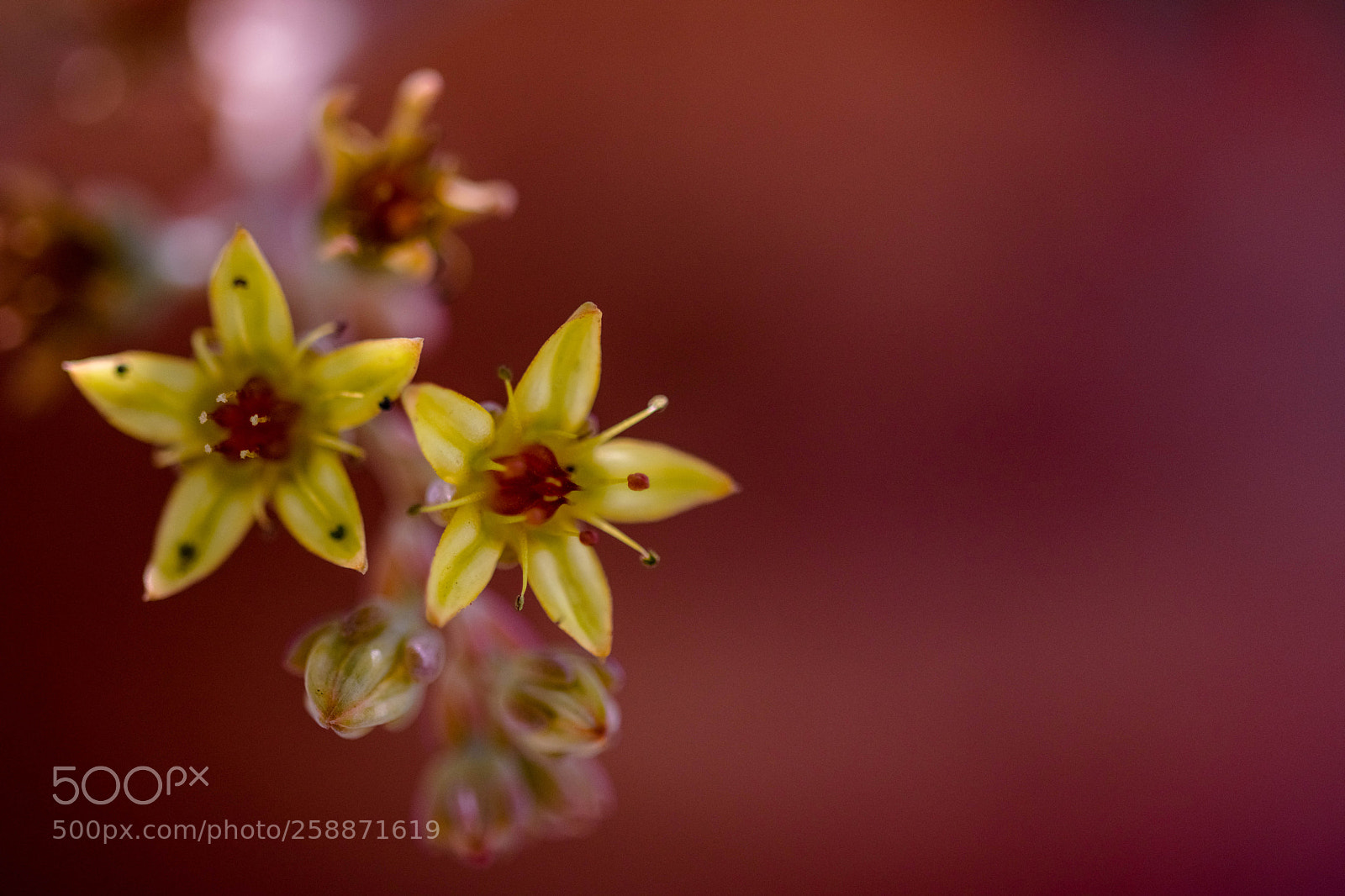 Nikon D3300 sample photo. () photography