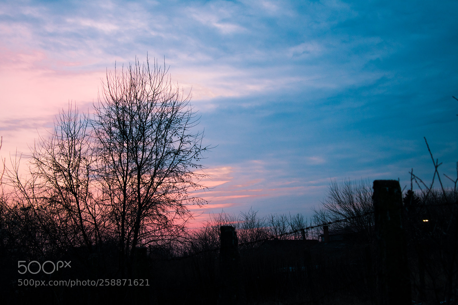Nikon D3400 sample photo. Pink vs blue photography