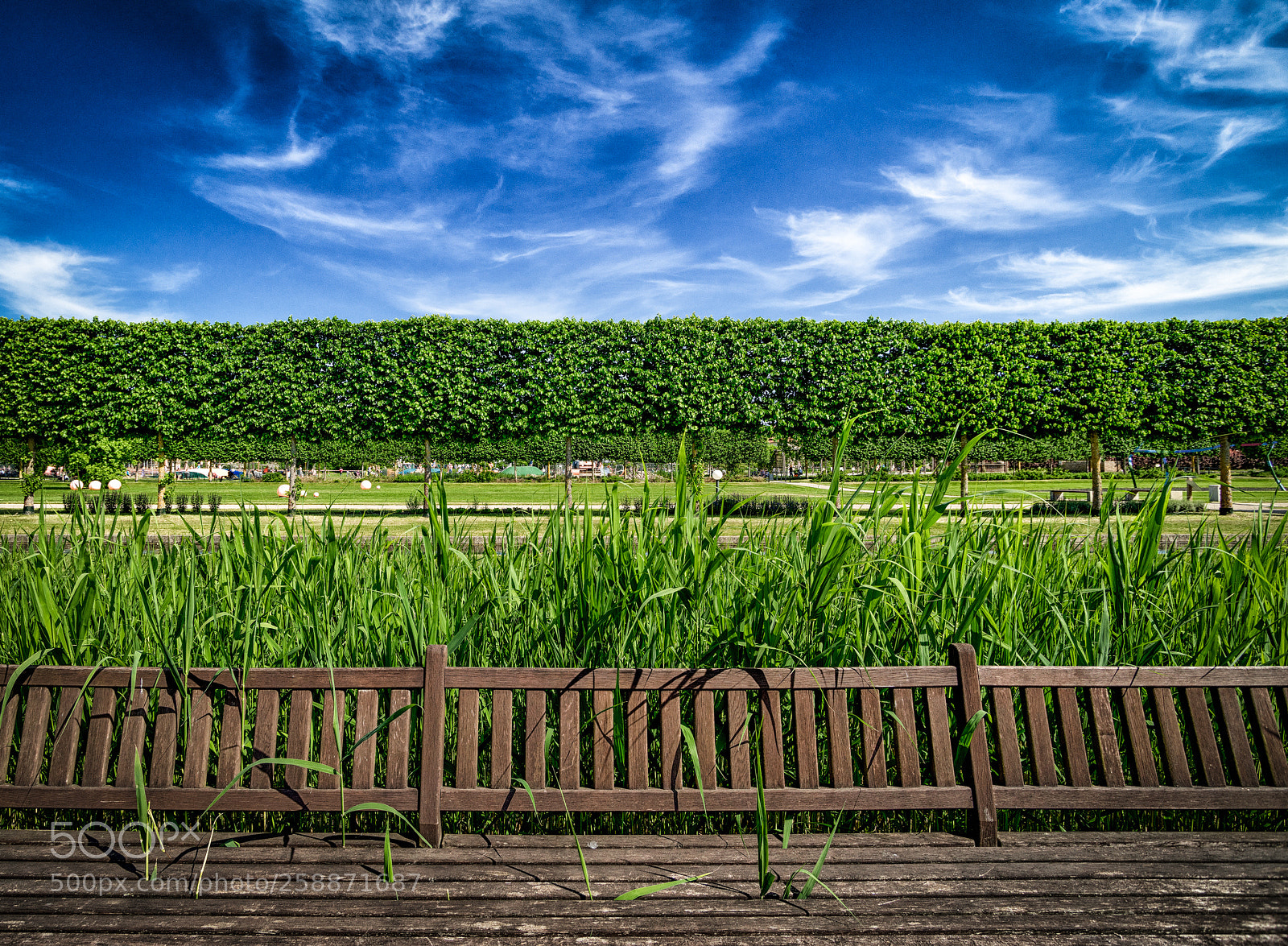 Sony a7R sample photo. Aligned photography
