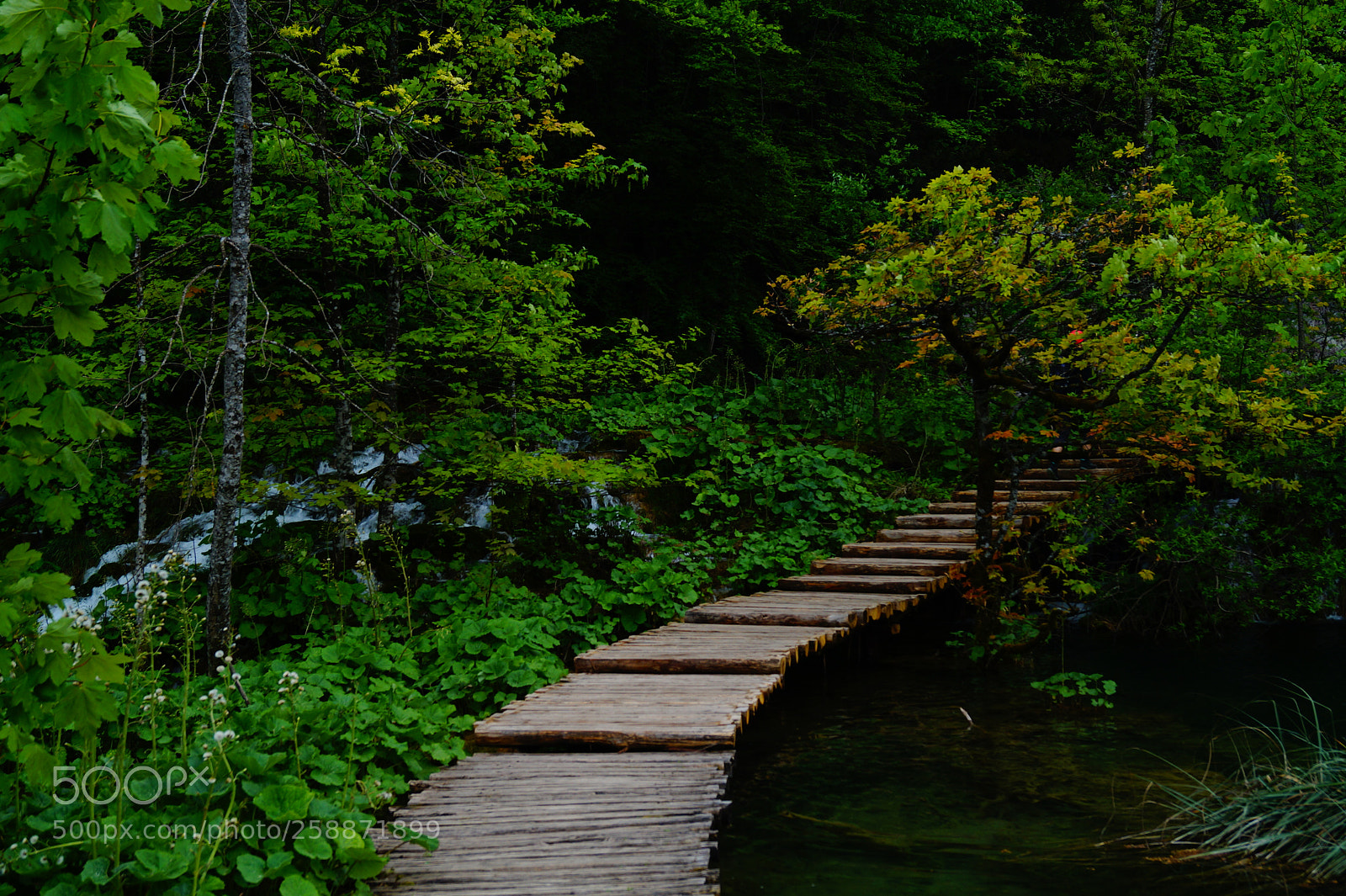 Sony SLT-A58 sample photo. Paradise route photography