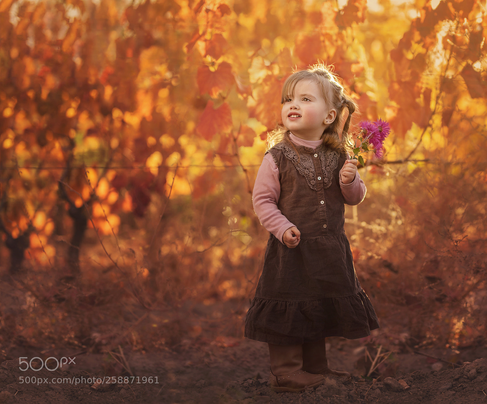 Nikon D750 sample photo. Allegra photography