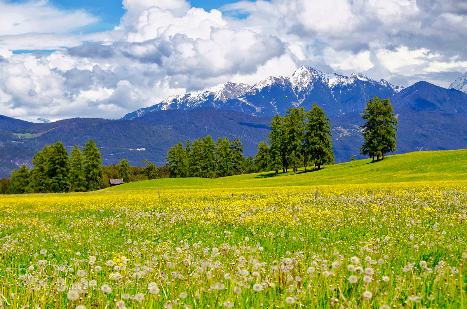 Nikon D7000 sample photo. Alpine meadow on the photography