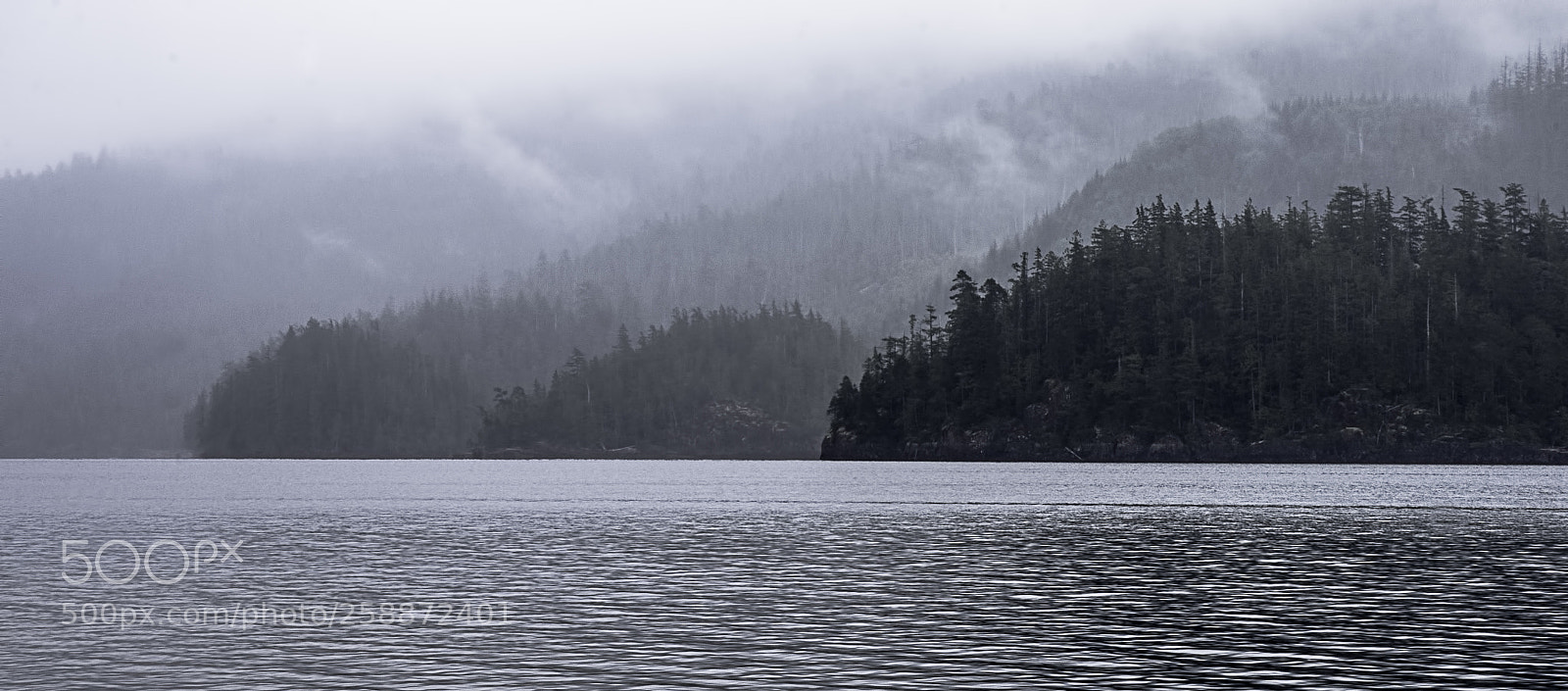 Sony a7R sample photo. Hemmed in photography