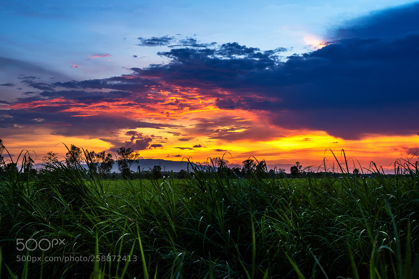 Nikon D600 sample photo. Sunset photography