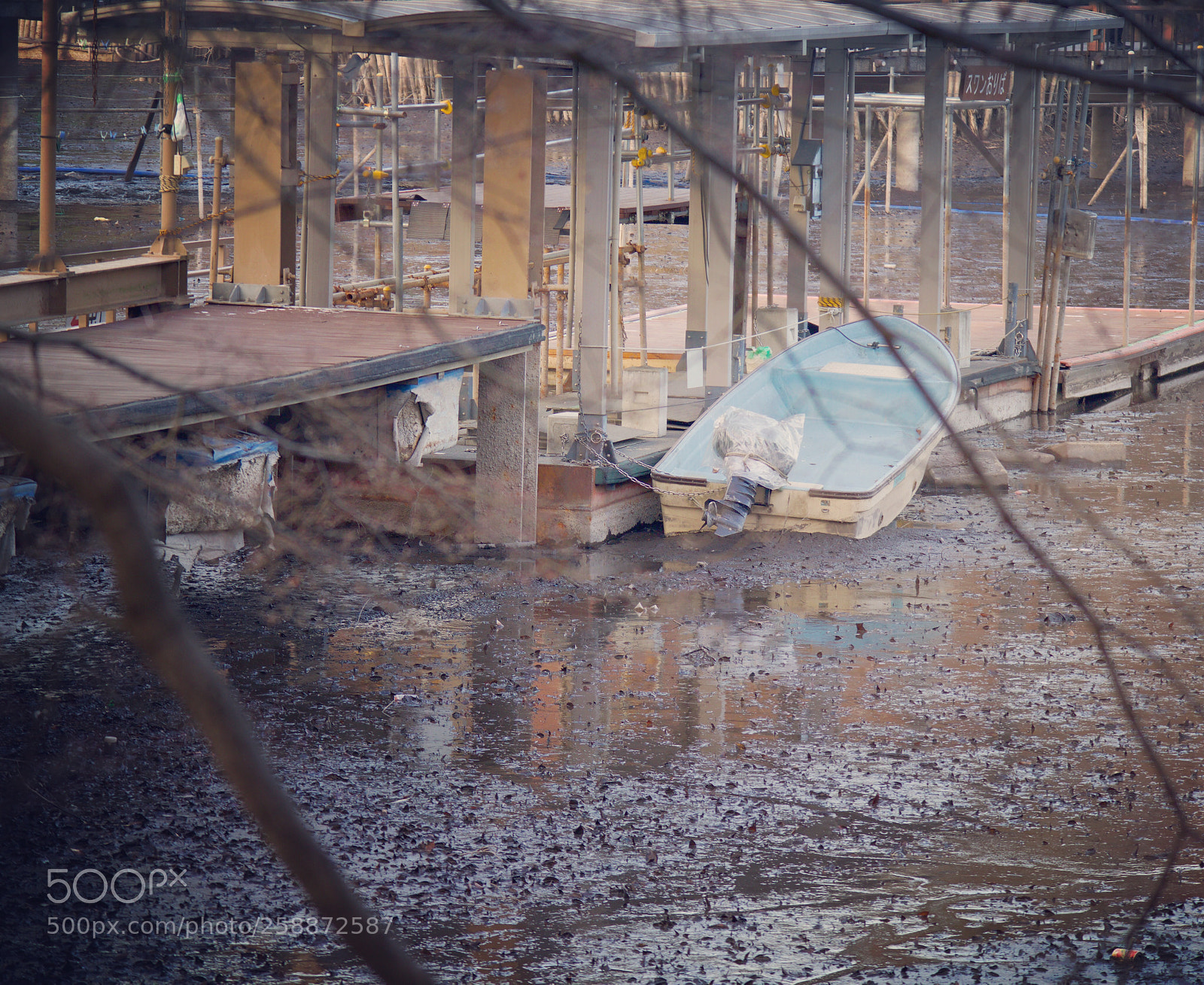 Canon EOS M5 sample photo. Untitled photography