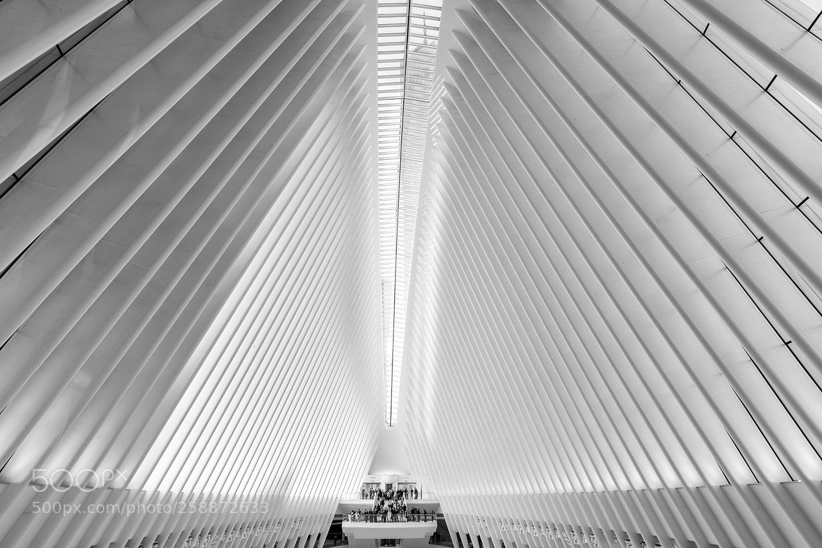 Canon EOS 5D Mark IV sample photo. Oculus photography