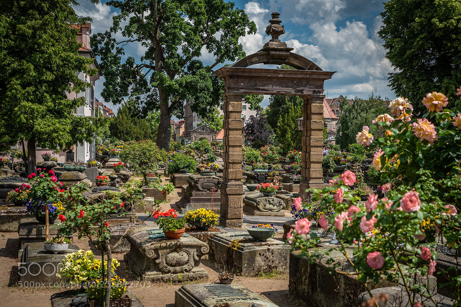 Nikon D750 sample photo. Johannisfriedhof photography