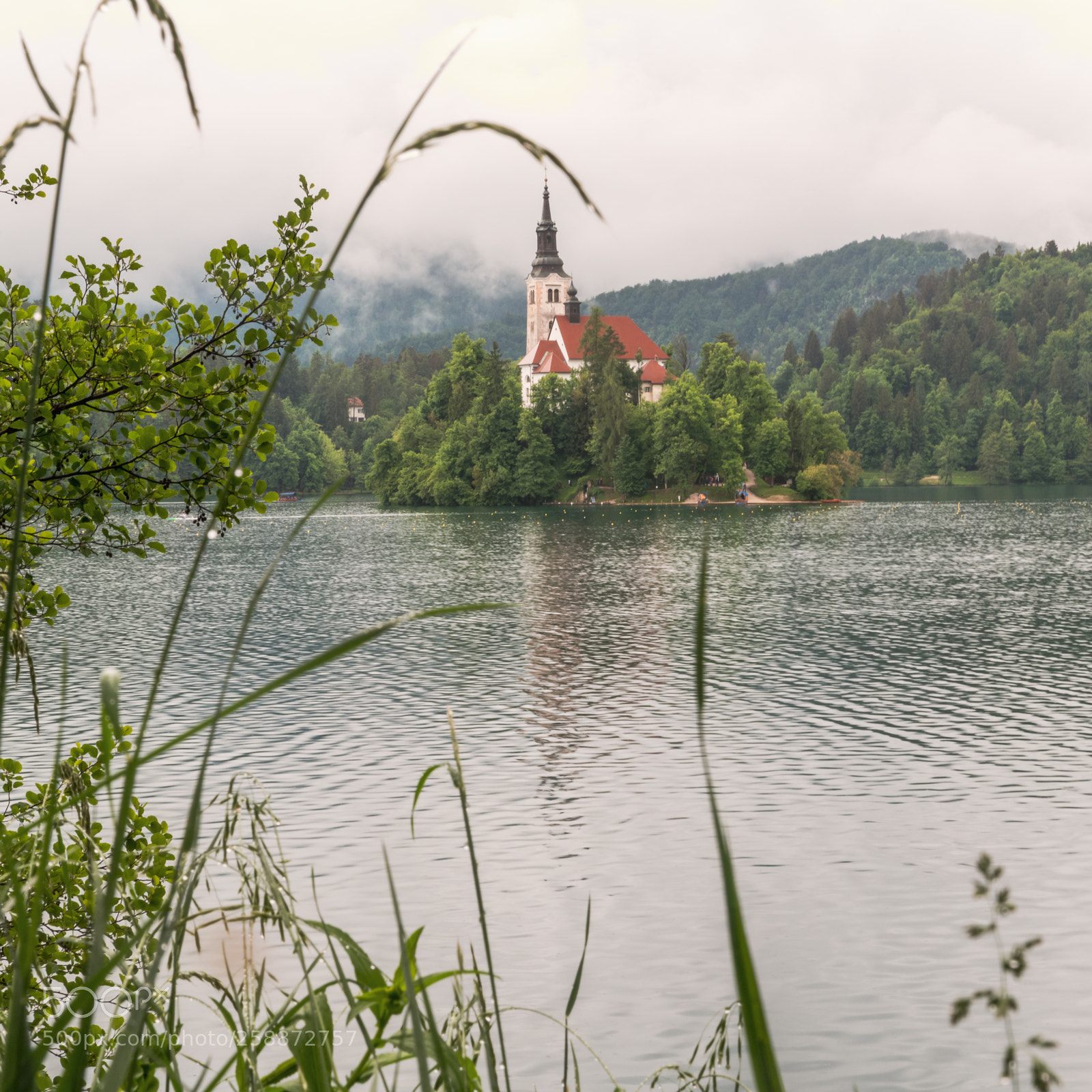 Nikon D850 sample photo. Misty lake bled, slovenia photography
