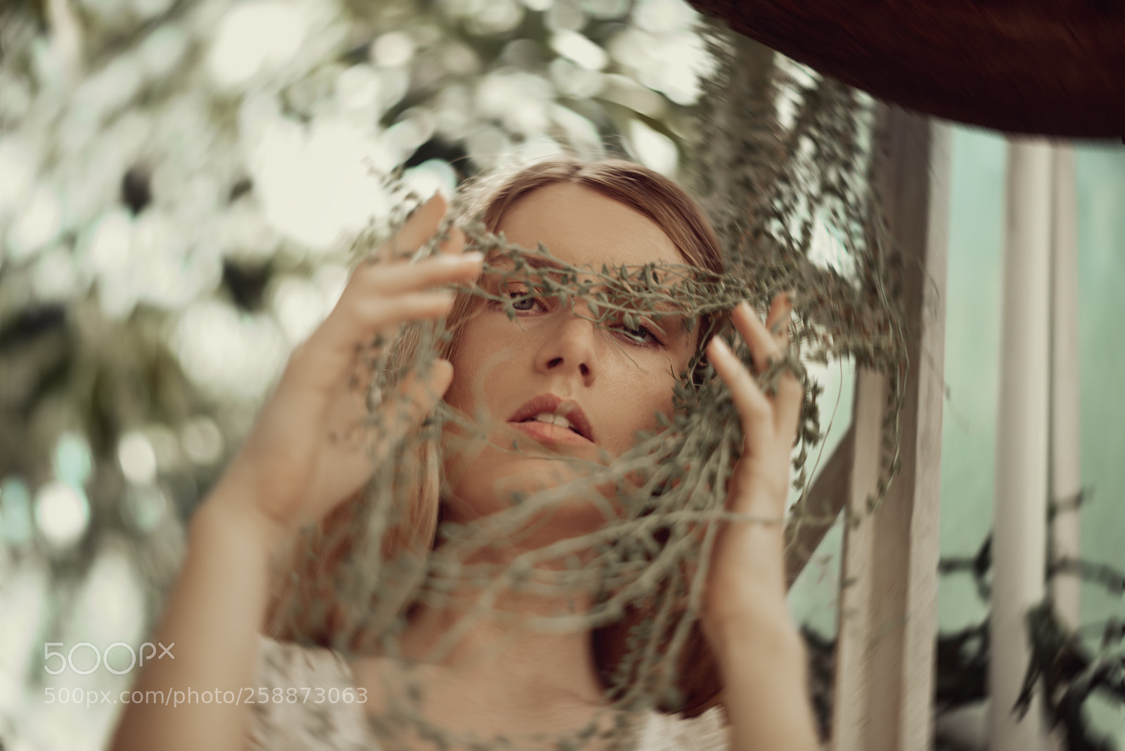 Nikon D750 sample photo. Le botanique photography