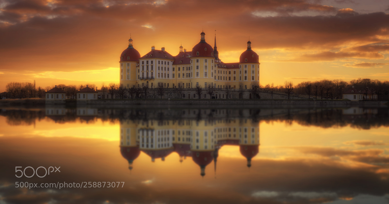 Nikon D800 sample photo. Fiery reflections photography