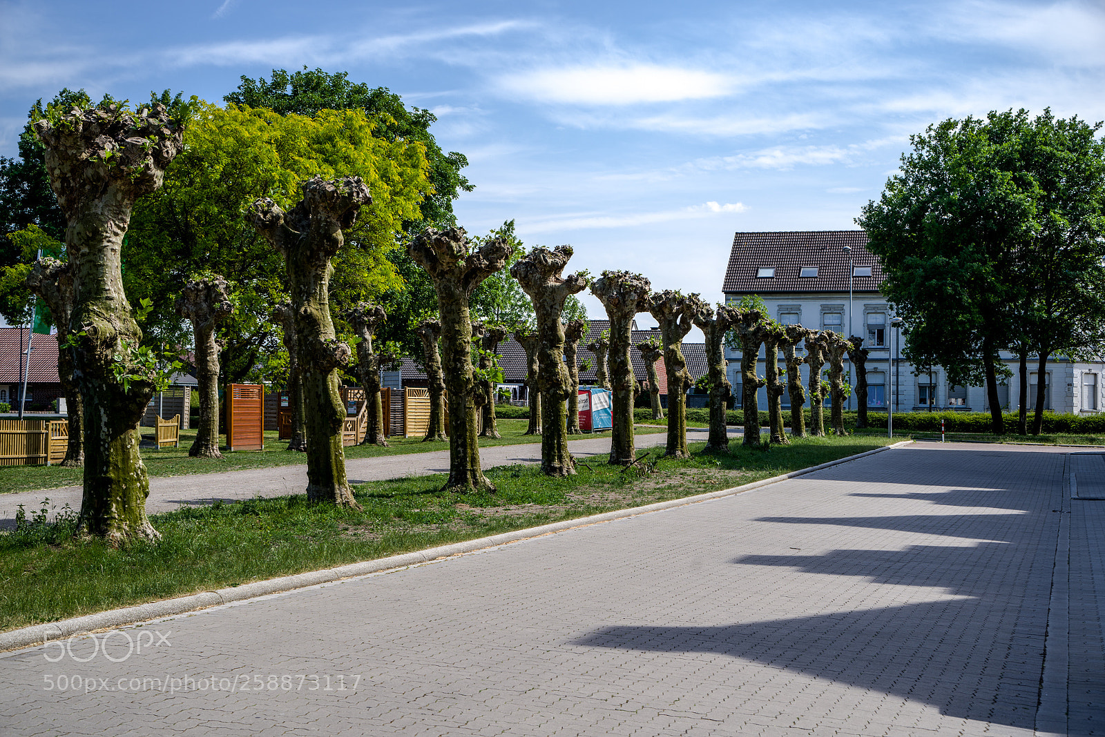 Pentax K-1 sample photo. Promenade somwhere photography