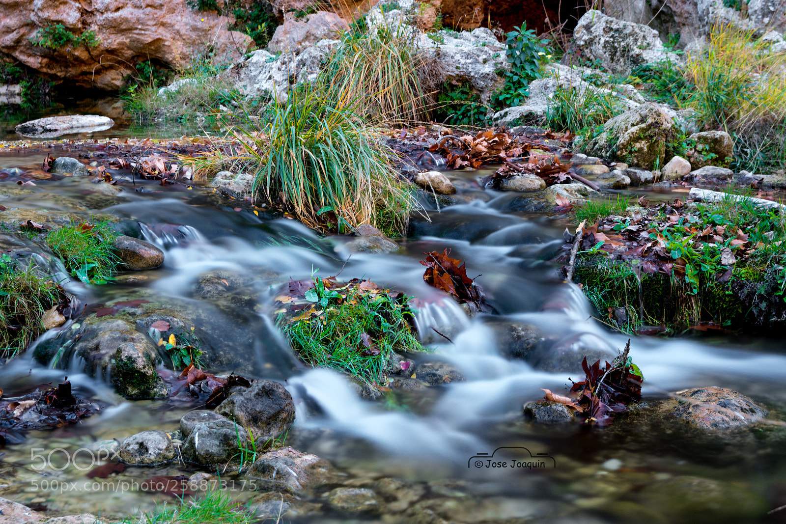 Nikon D7200 sample photo. Sedosa photography